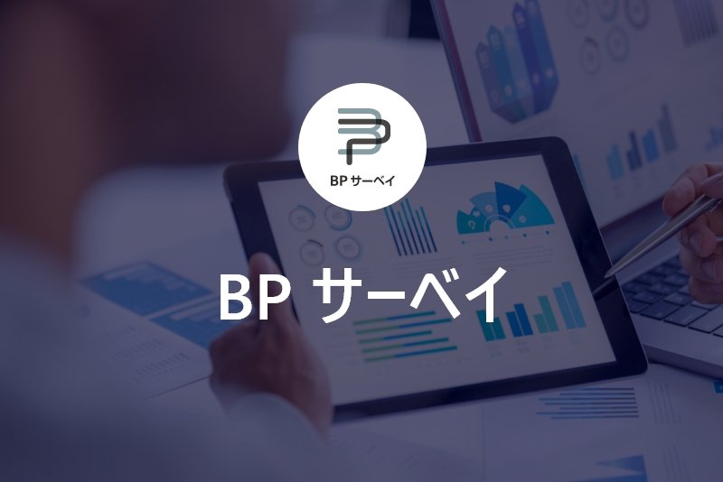 BPサーベイ